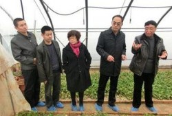 陕西咸阳最新爆料,揭秘咸阳历史文化新发现